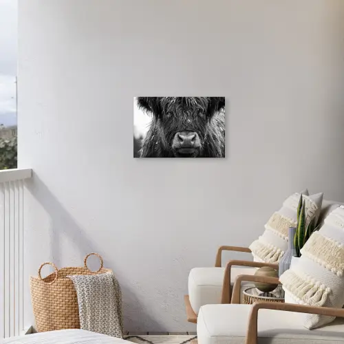 Schotse hooglander - Zwart - Wit - Sneeuwvlokken Tuinposter op houten frame 2 cm dik klein -sfeer1