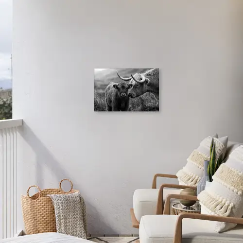 Schotse hooglander - Kalf - Zwart - Wit Tuinposter op houten frame 2 cm dik klein -sfeer1