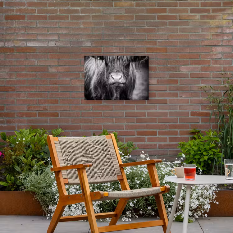 Schotse hooglander - Koe - Zwart - Wit - Dieren Tuinposter op houten frame 2 cm dik klein -sfeer3