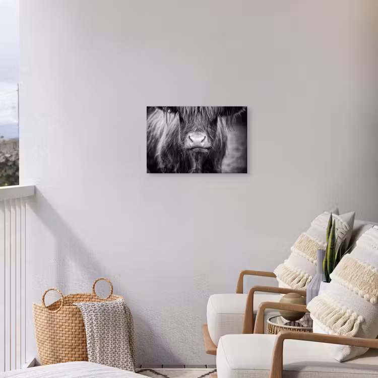 Schotse hooglander - Koe - Zwart - Wit - Dieren Tuinposter op houten frame 2 cm dik klein -sfeer1