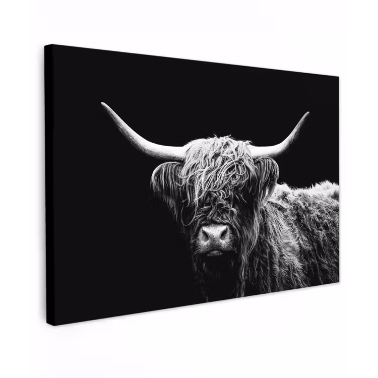 Schotse Hooglander - Koe - Zwart - Wit - Dieren Tuinposter op houten frame 2 cm dik klein -3d
