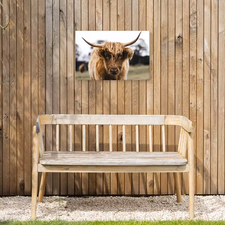 Schotse Hooglander -  Koe - Gras - Dieren - Natuur Tuinposter op houten frame 2 cm dik klein -sfeer4
