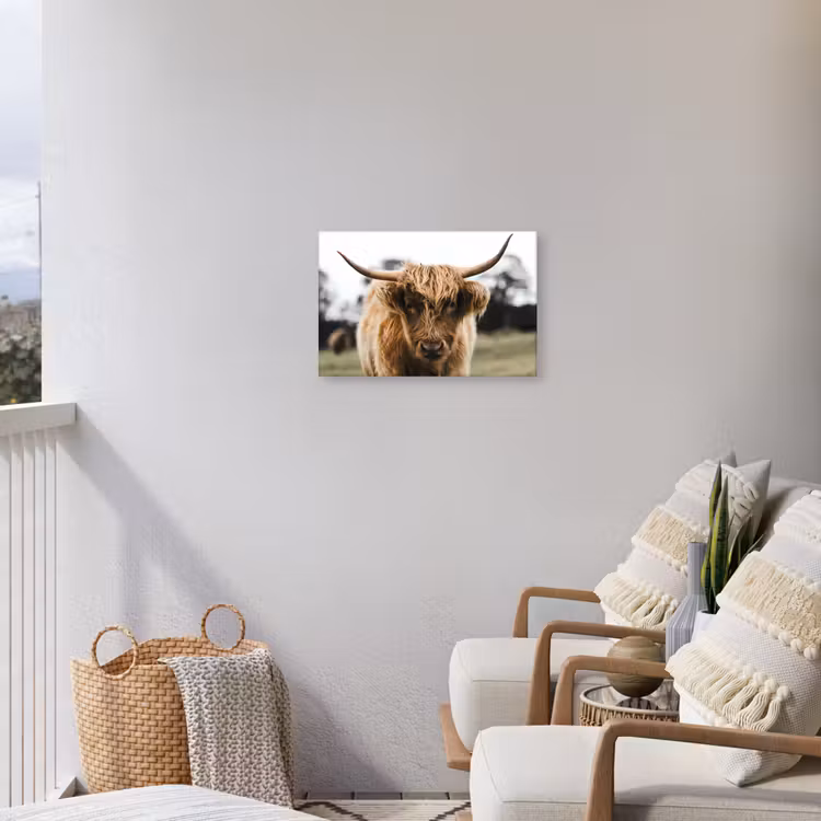 Schotse Hooglander -  Koe - Gras - Dieren - Natuur Tuinposter op houten frame 2 cm dik klein -sfeer1