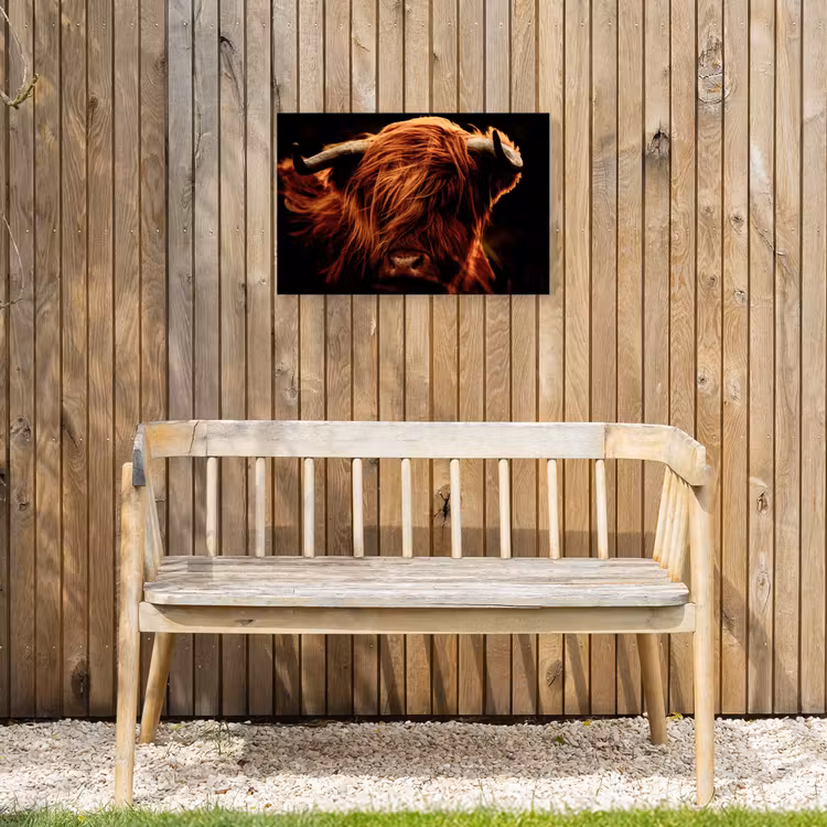 Schotse hooglander - Koe - Hoorns - Portret - Dieren Tuinposter op houten frame 2 cm dik klein -sfeer4