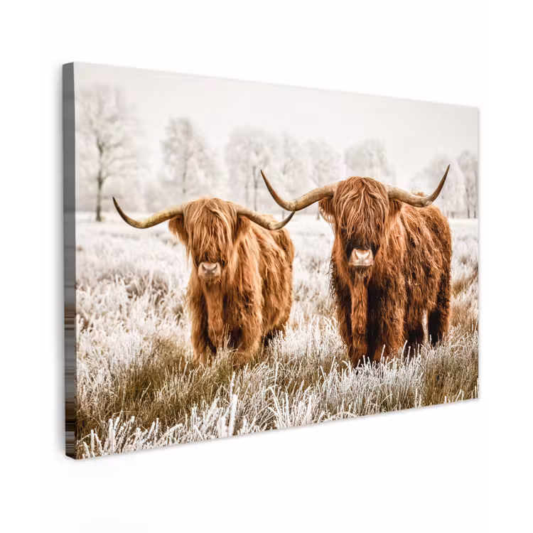 Schotse hooglander - Koe - Natuur - Winter Tuinposter op houten frame 2 cm dik klein -3d
