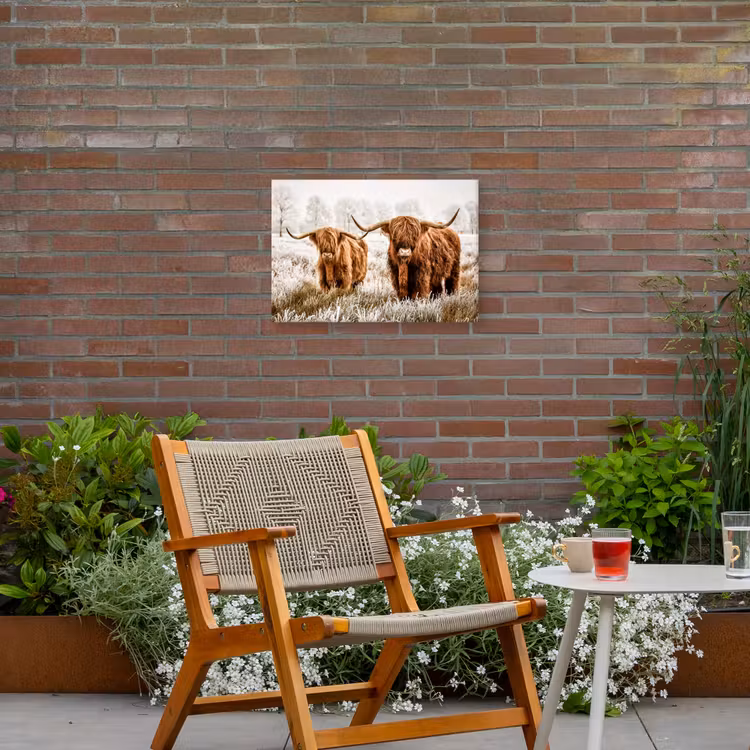 Schotse hooglander - Koe - Natuur - Winter Tuinposter op houten frame 2 cm dik klein -sfeer3