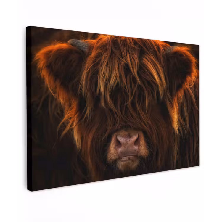 Schotse Hooglander - Koe - Portret - Dieren Tuinposter op houten frame 2 cm dik klein -3d