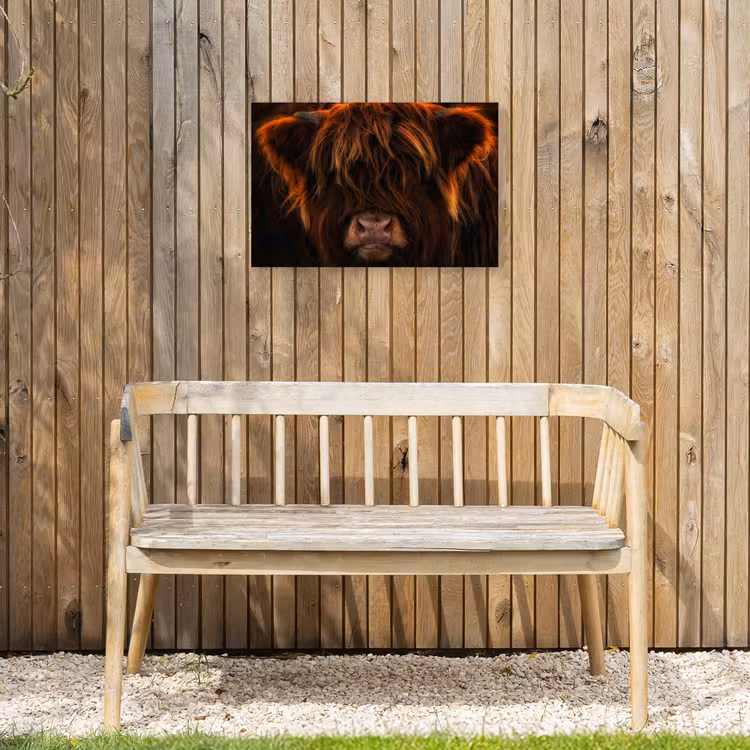 Schotse Hooglander - Koe - Portret - Dieren Tuinposter op houten frame 2 cm dik klein -sfeer4