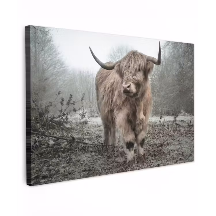 Schotse Hooglander - Bos - Mist - Koe - Dieren - Natuur Tuinposter op houten frame 2 cm dik klein -3d