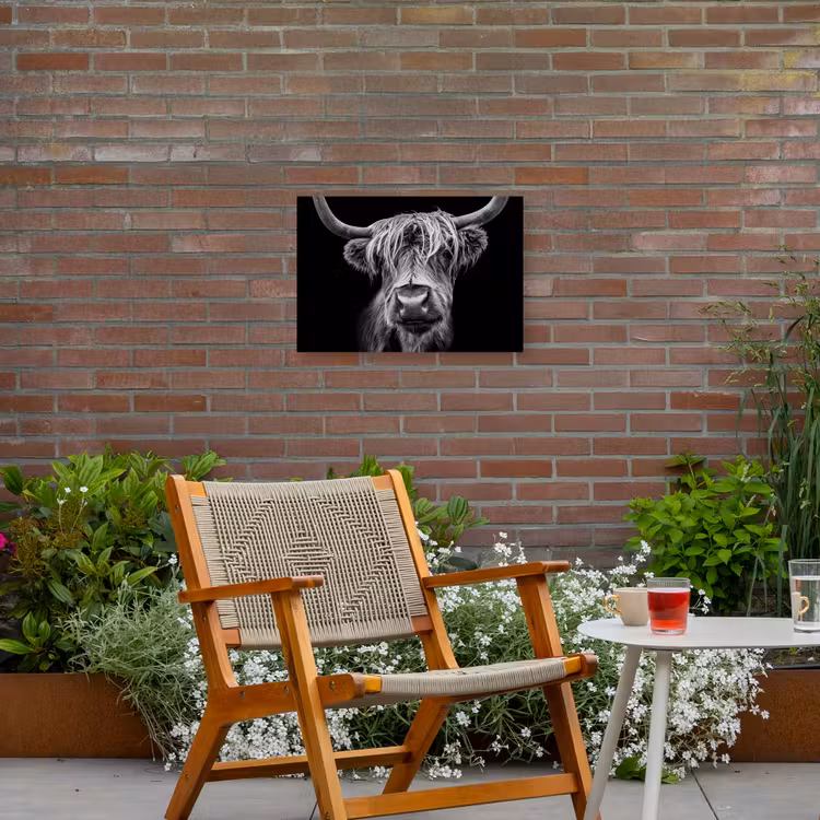 Schotse Hooglander - Horens - Zwart - Wit - Koe - Wild - Dieren Tuinposter op houten frame 2 cm dik klein -sfeer3