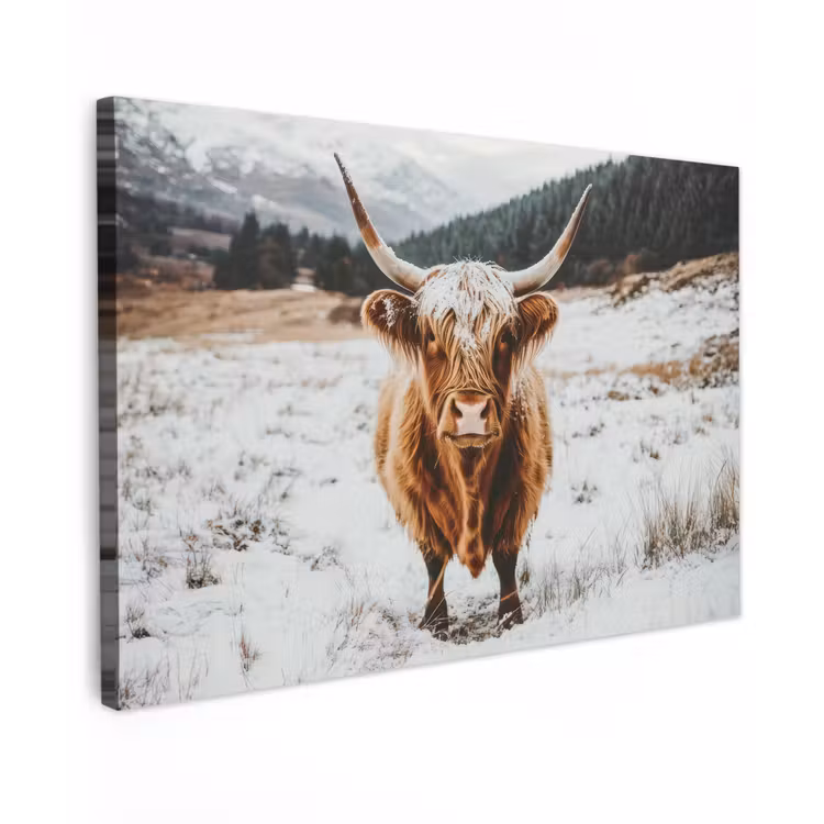 Schotse Hooglander - Landschap - Sneeuw - Bergen - Winter Tuinposter op houten frame 2 cm dik klein -3d