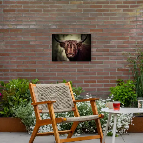 Schotse hooglander - Licht - Portret - Natuur Tuinposter op houten frame 2 cm dik klein -sfeer3
