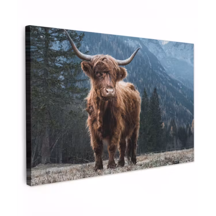 Schotse hooglander - Berg - Landschap - Bomen - Koe - Natuur Tuinposter op houten frame 2 cm dik klein -3d