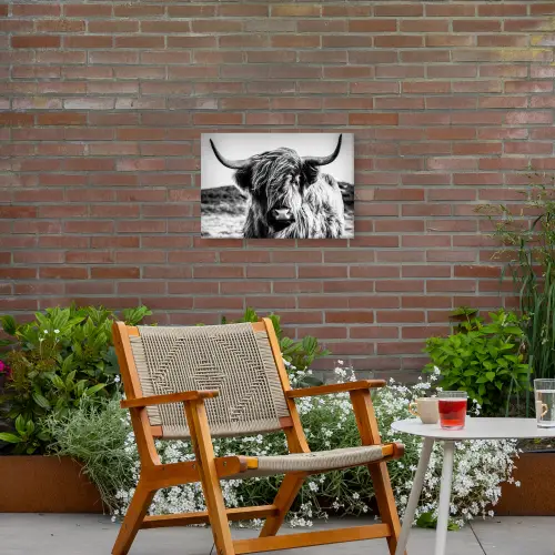 Schotse hooglander - Natuur - Koe - Zwart - Wit Tuinposter op houten frame 2 cm dik klein -sfeer3