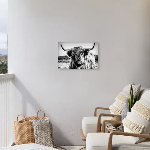 Schotse hooglander - Natuur - Koe - Zwart - Wit Tuinposter op houten frame 2 cm dik klein -sfeer1