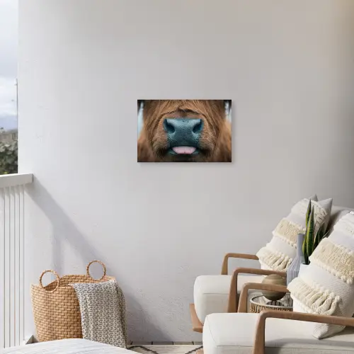 Schotse hooglander - Neus - Bruin Tuinposter op houten frame 2 cm dik klein -sfeer1