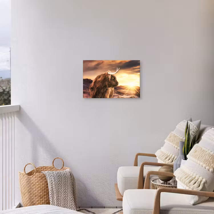Schotse hooglander - Zon - Horizon - Koe - Dieren Tuinposter op houten frame 2 cm dik klein -sfeer1