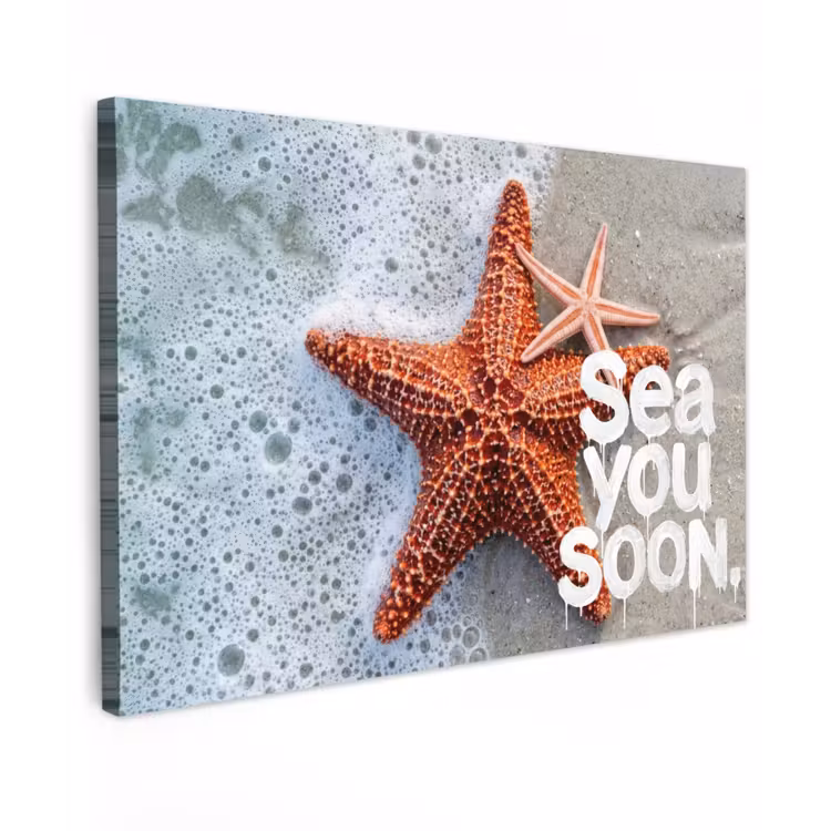 Sea you soon - Zeester - Zee Tuinposter op houten frame 2 cm dik klein -3d