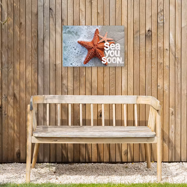 Sea you soon - Zeester - Zee Tuinposter op houten frame 2 cm dik klein -sfeer4