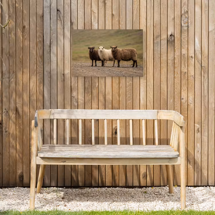Schapen - Bruin - Wit - Grindpad Tuinposter op houten frame 2 cm dik klein -sfeer4