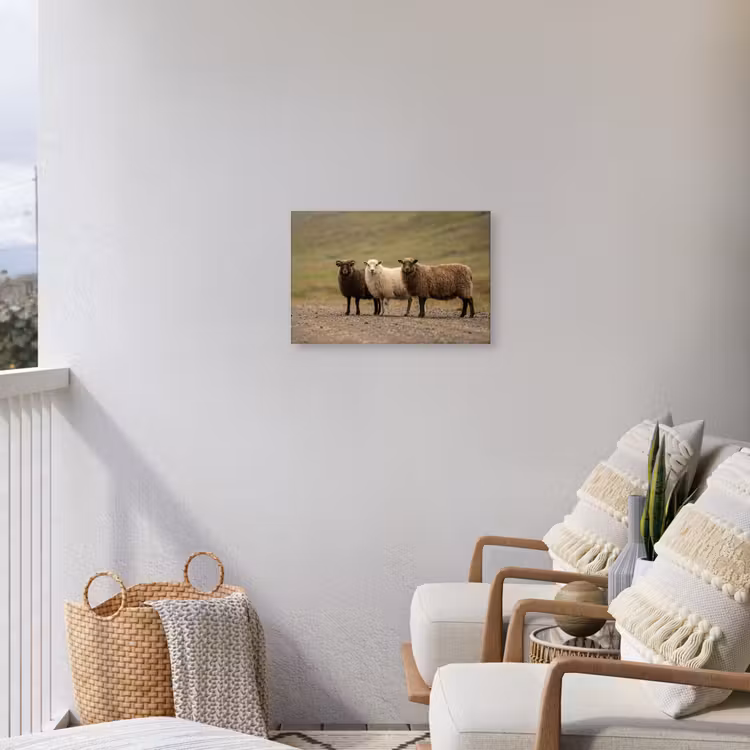 Schapen - Bruin - Wit - Grindpad Tuinposter op houten frame 2 cm dik klein -sfeer1