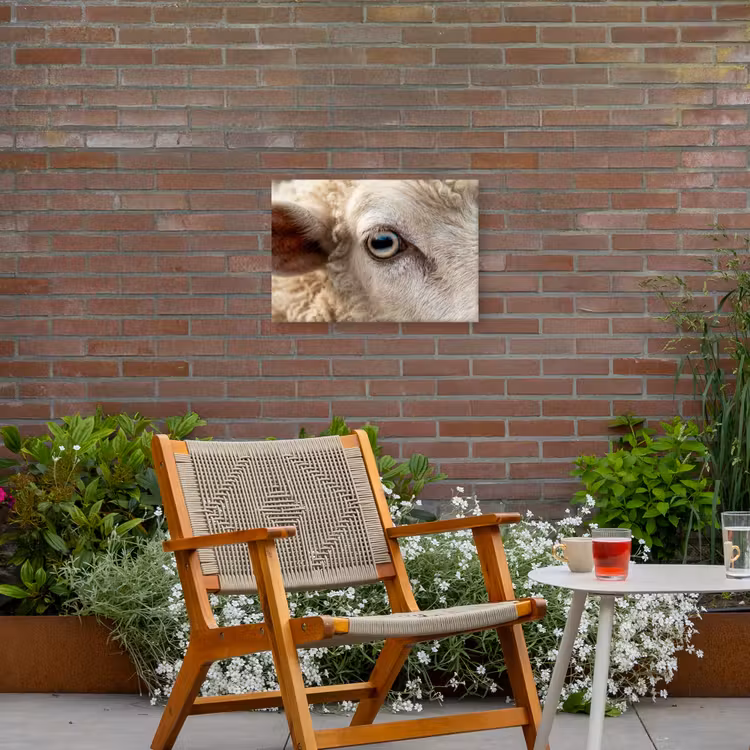 Schaap - Oog - Wit Tuinposter op houten frame 2 cm dik klein -sfeer3