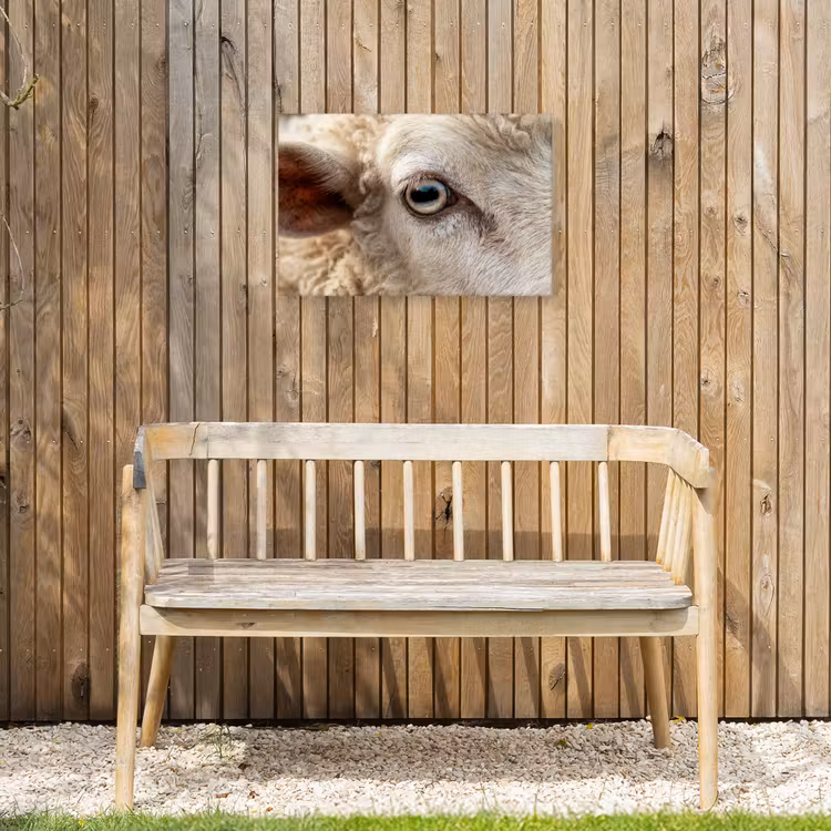 Schaap - Oog - Wit Tuinposter op houten frame 2 cm dik klein -sfeer4