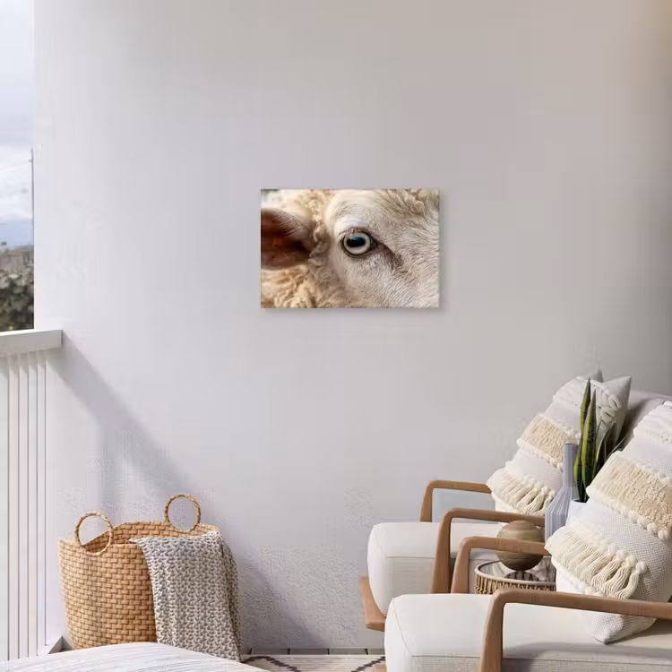 Schaap - Oog - Wit Tuinposter op houten frame 2 cm dik klein -sfeer1
