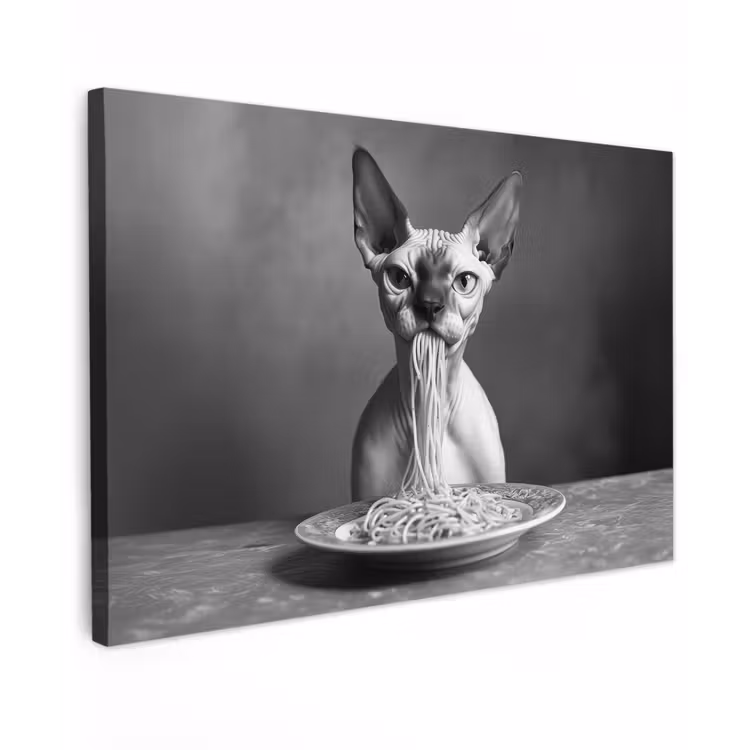 Sphynx - Kat - Dieren - Humor - Spaghetti - Zwart Wit Tuinposter op houten frame 2 cm dik klein -3d