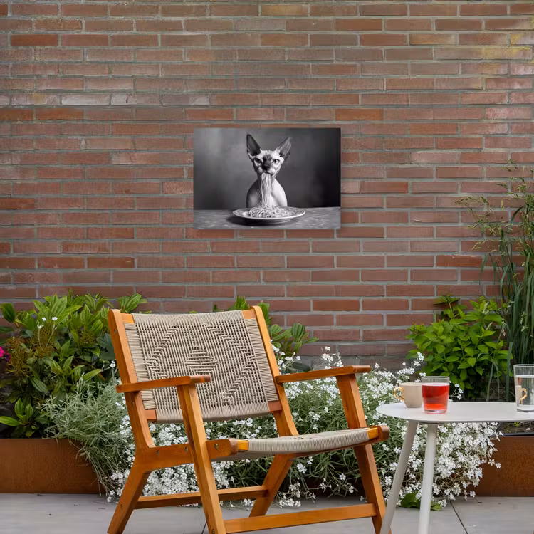 Sphynx - Kat - Dieren - Humor - Spaghetti - Zwart Wit Tuinposter op houten frame 2 cm dik klein -sfeer3