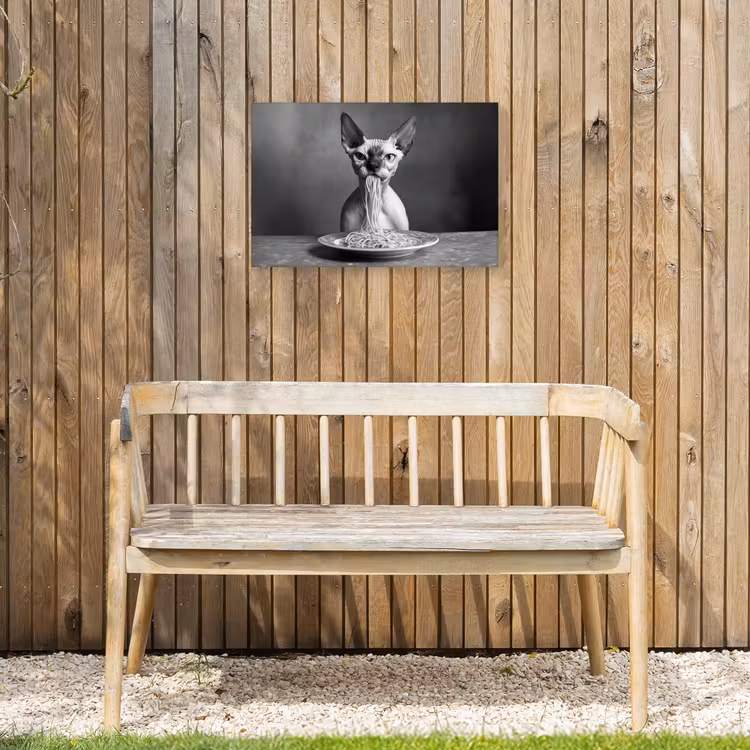 Sphynx - Kat - Dieren - Humor - Spaghetti - Zwart Wit Tuinposter op houten frame 2 cm dik klein -sfeer4
