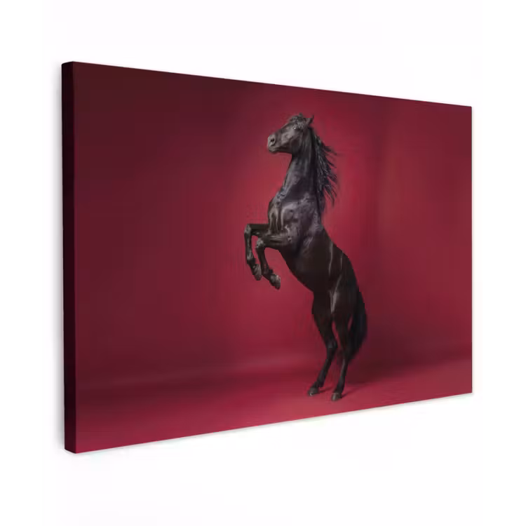 Hengst - Steigert - Rood Tuinposter op houten frame 2 cm dik klein -3d
