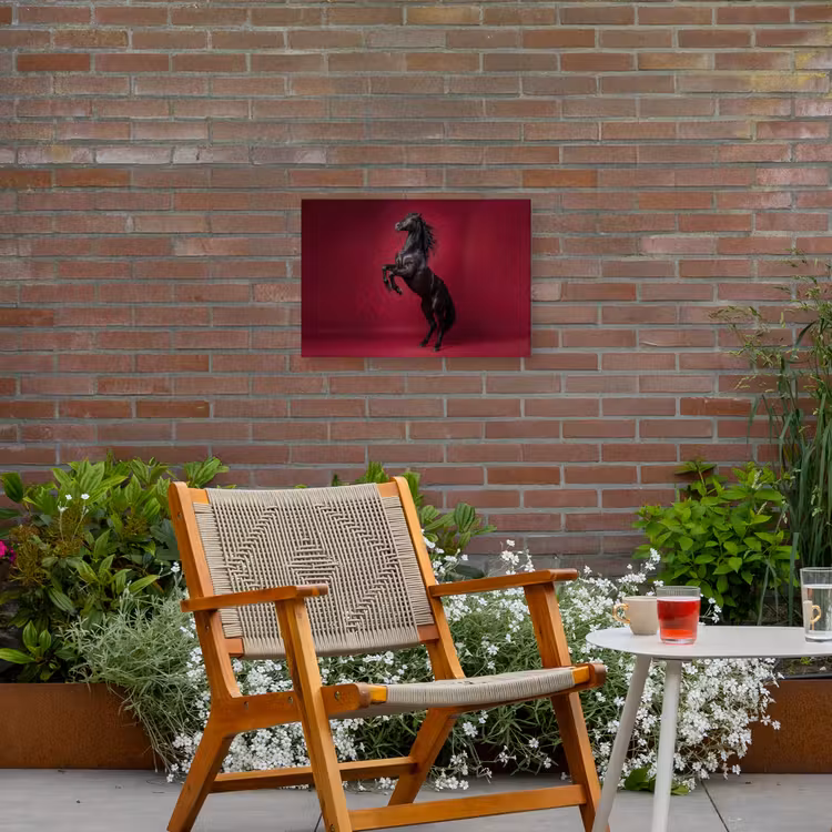 Hengst - Steigert - Rood Tuinposter op houten frame 2 cm dik klein -sfeer3