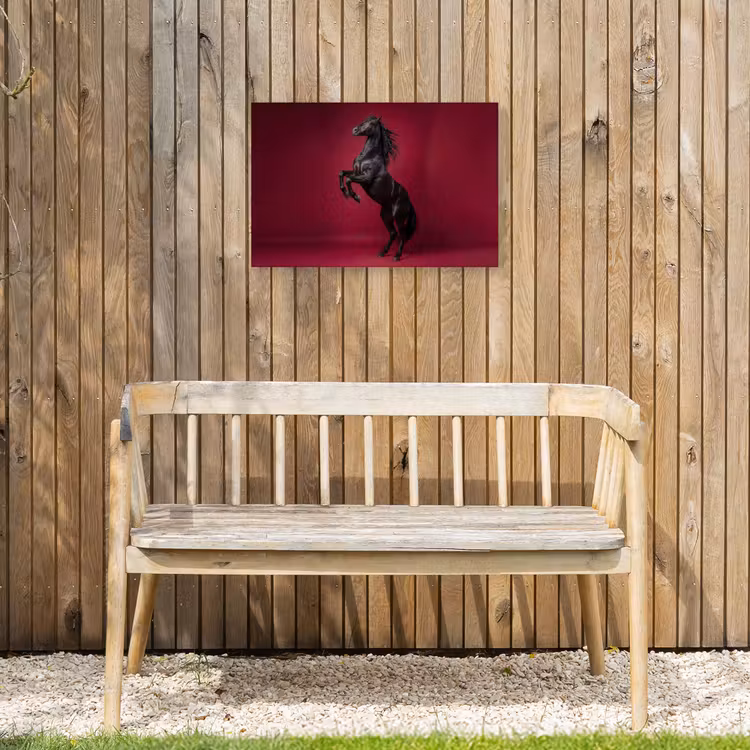 Hengst - Steigert - Rood Tuinposter op houten frame 2 cm dik klein -sfeer4