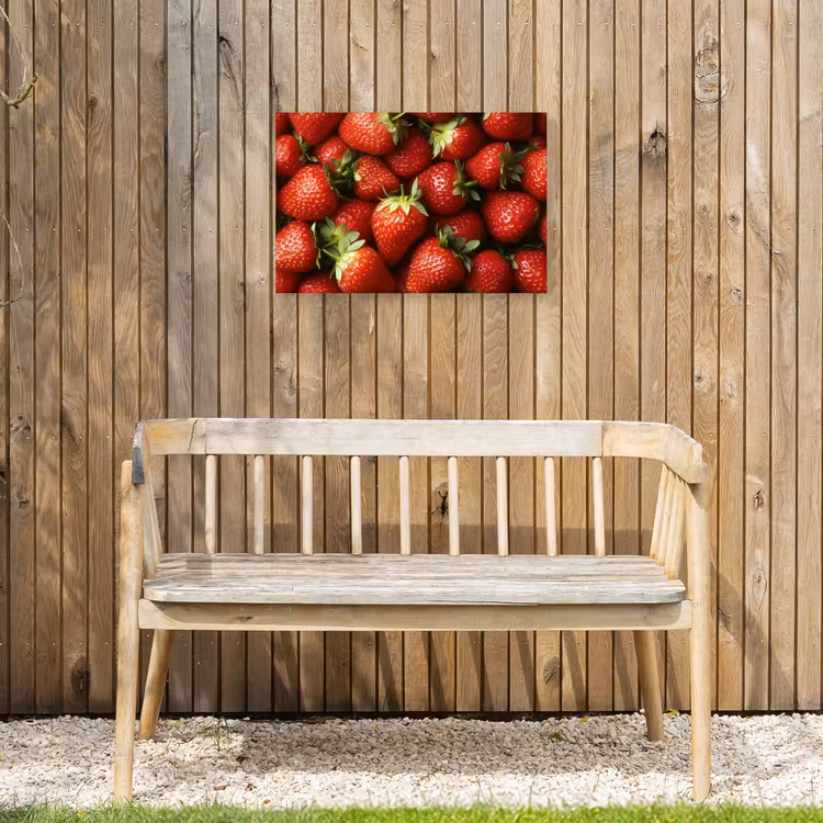 Aardbei - Fruit - Rood Tuinposter op houten frame 2 cm dik klein -sfeer4
