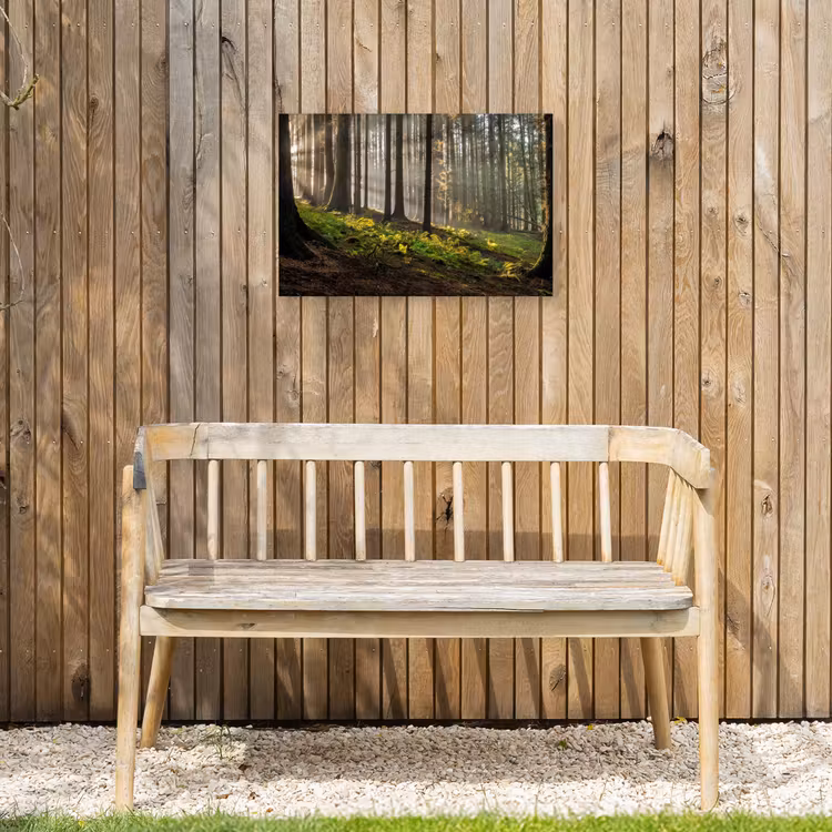 Zon - Takken - Bomen - Bos - Natuur Tuinposter op houten frame 2 cm dik klein -sfeer4