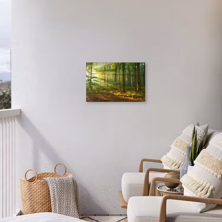 Zon - Bos - Bomen - Natuur - Herfst Tuinposter op houten frame 2 cm dik klein -sfeer1