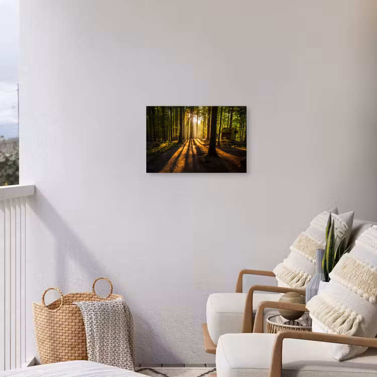Zon - Bomen - Bos - Landschap - Natuur Tuinposter op houten frame 2 cm dik klein -sfeer1