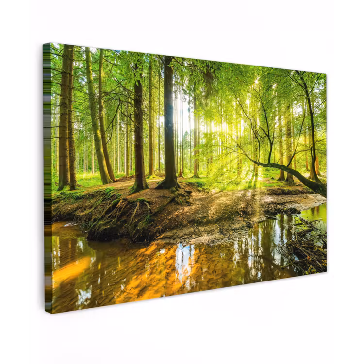 Zonnestralen in een groen bos Tuinposter op houten frame 2 cm dik klein -3d