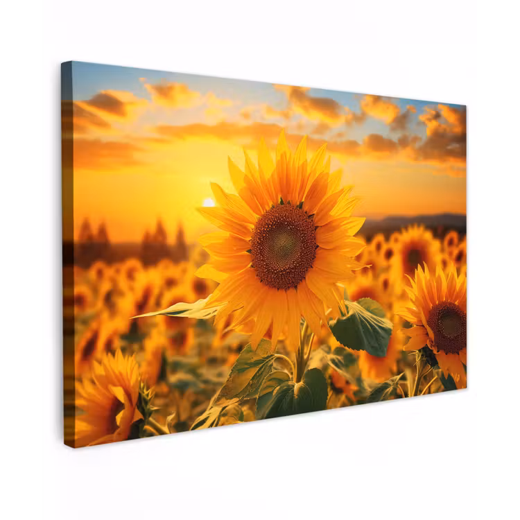 Zonnebloem in de avondzon Tuinposter op houten frame 2 cm dik klein -3d