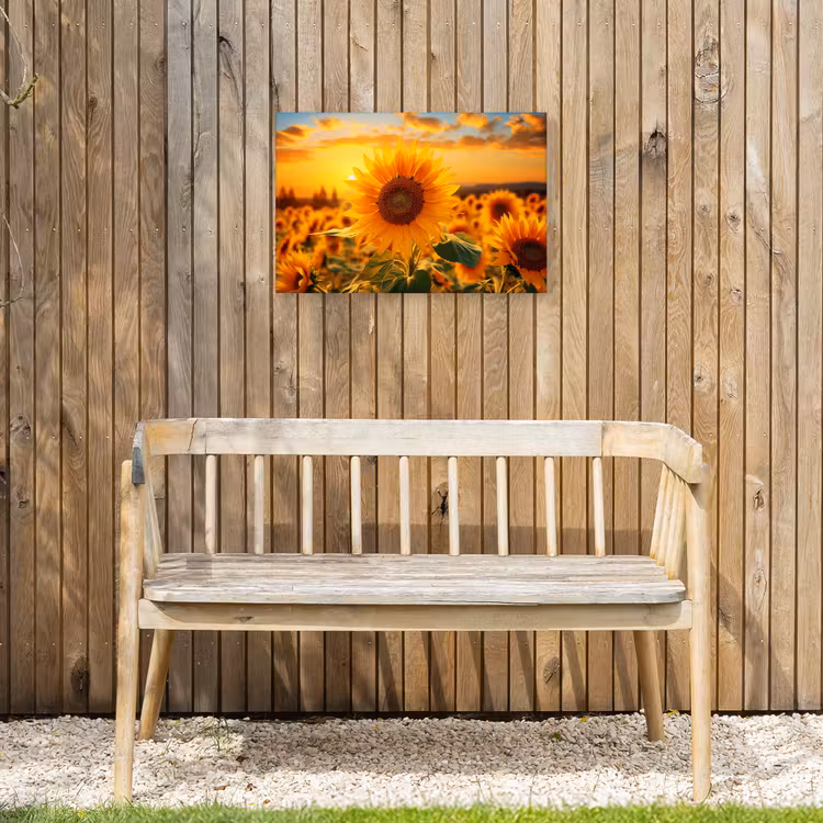 Zonnebloem in de avondzon Tuinposter op houten frame 2 cm dik klein -sfeer4