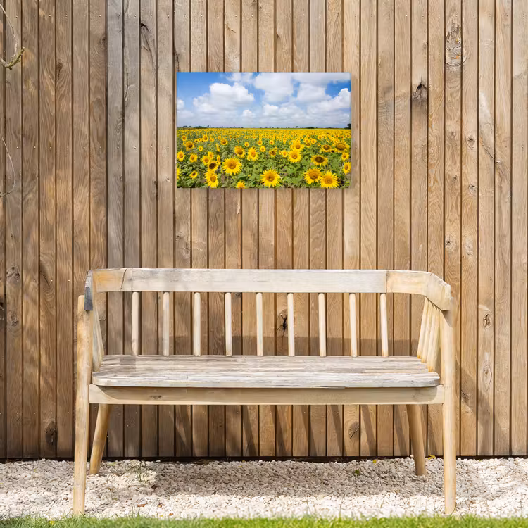 Zonnebloemen - Bloemen - Wolken - Natuur - Geel - Landschap Tuinposter op houten frame 2 cm dik klein -sfeer4