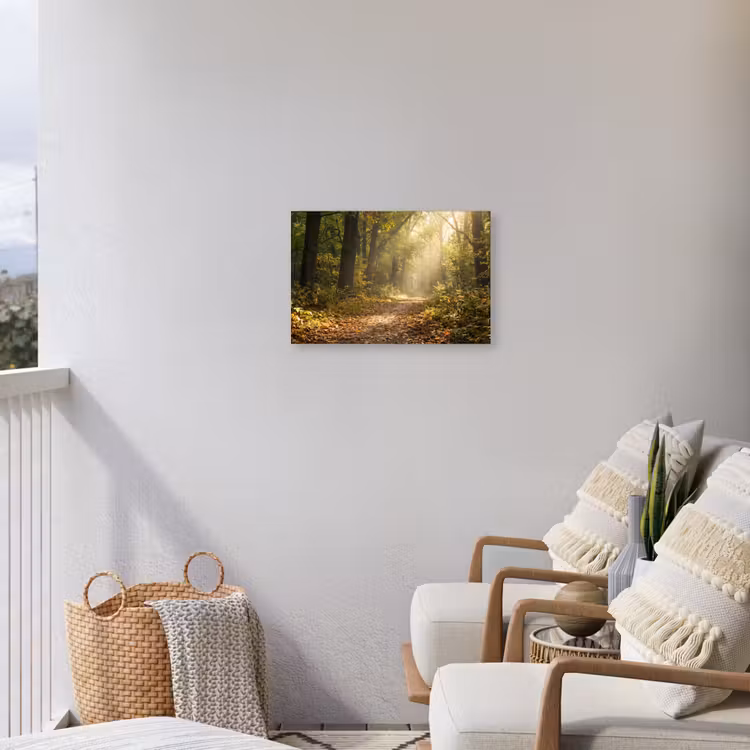 Zonlicht - Bospad - Bomen Tuinposter op houten frame 2 cm dik klein -sfeer1