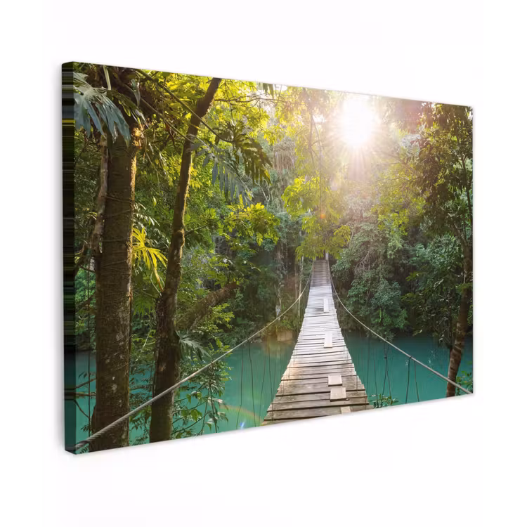 Hangbrug in het Regenwoud Tuinposter op houten frame 2 cm dik klein -3d