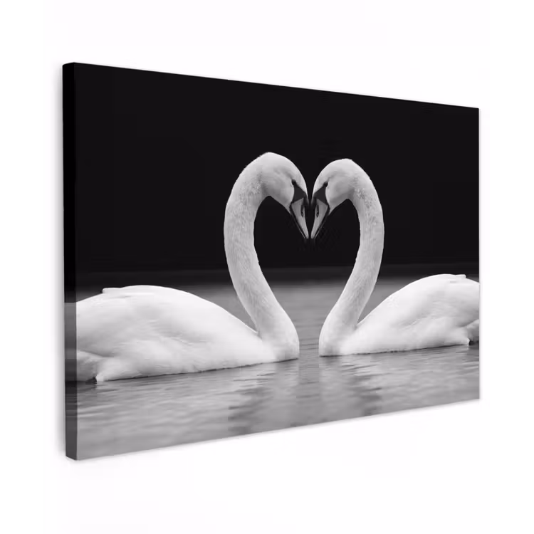 Zwanen - Hart - Zwart - Wit Tuinposter op houten frame 2 cm dik klein -3d