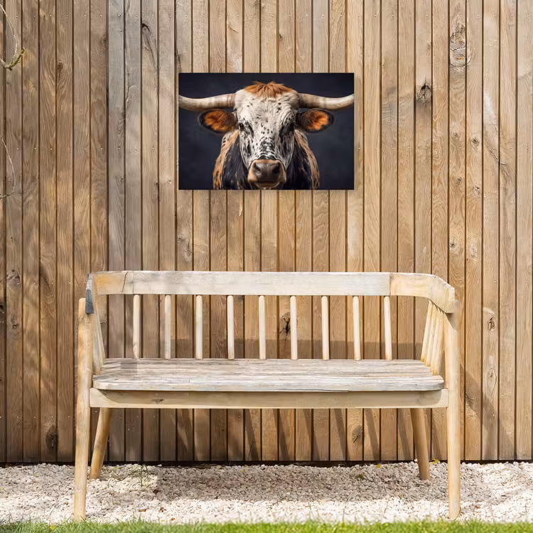 Stier - Kleurrijk - Hoorns Tuinposter op houten frame 2 cm dik klein -sfeer4