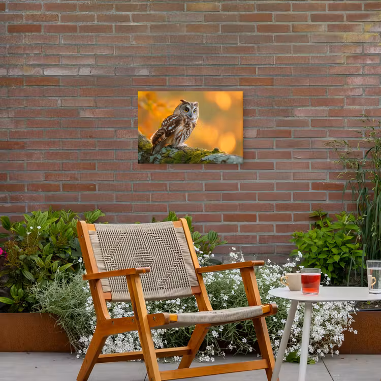 Bosuil op Mosbegroeide Tak Tuinposter op houten frame 2 cm dik klein -sfeer3