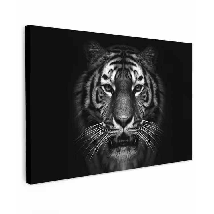 Tijger in het zwart-wit Tuinposter op houten frame 2 cm dik klein -3d