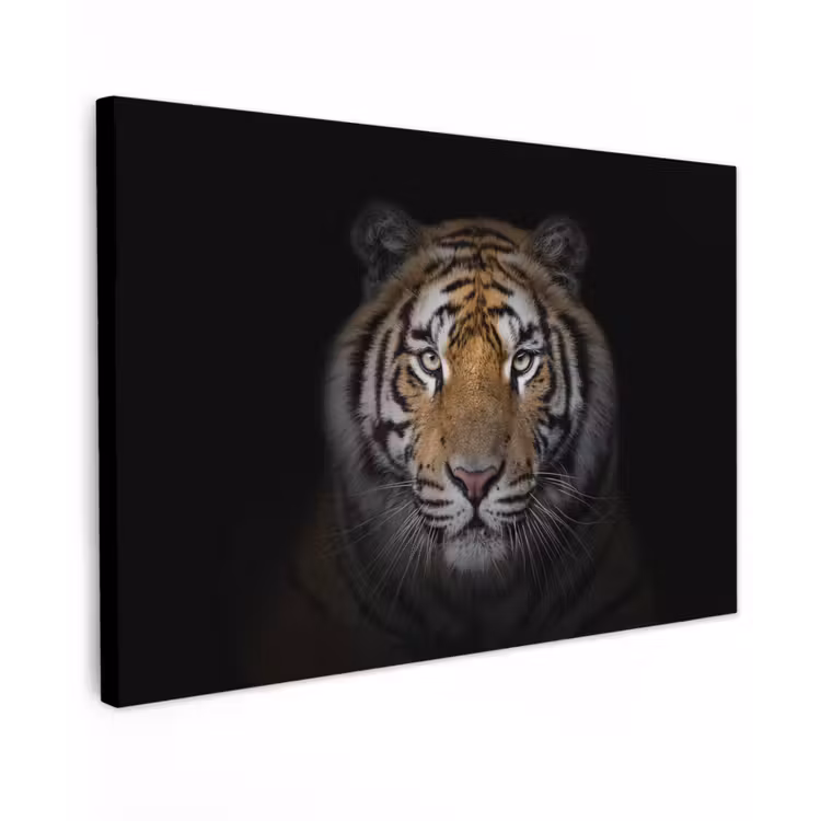Tijger in de schaduw Tuinposter op houten frame 2 cm dik klein -3d