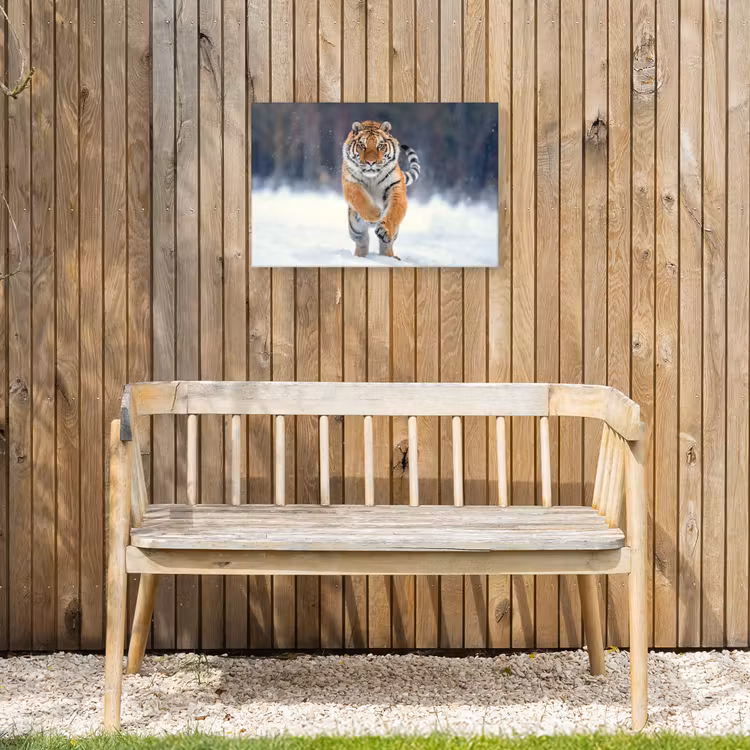 Tijger - Landschap - Sneeuw - Winter - Dieren Tuinposter op houten frame 2 cm dik klein -sfeer4